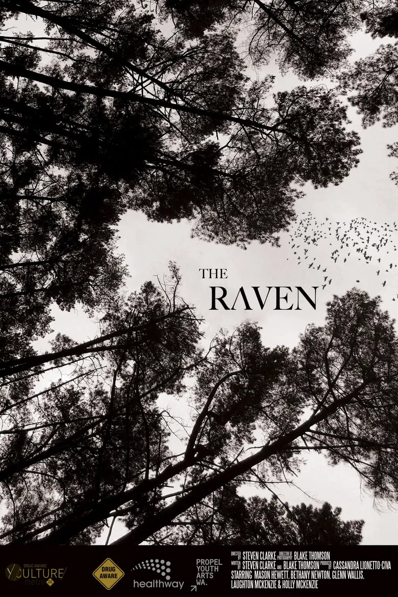 The Raven poster background