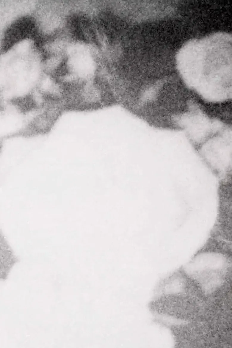 grand-maman Piano poster background