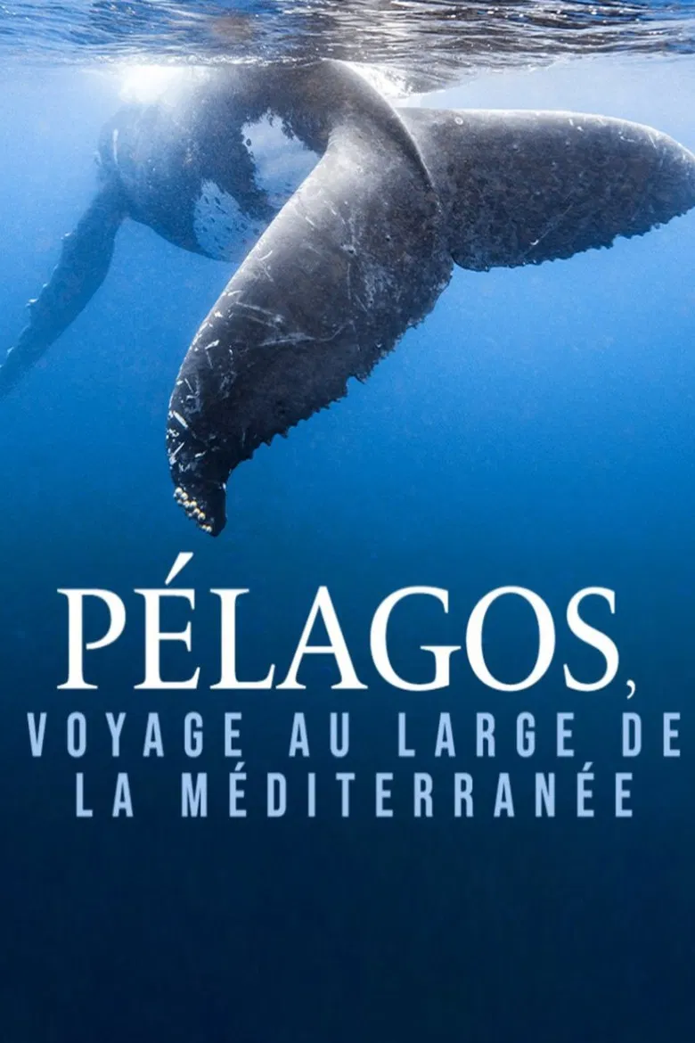 Pélagos, voyage au large de la Méditerranée poster background
