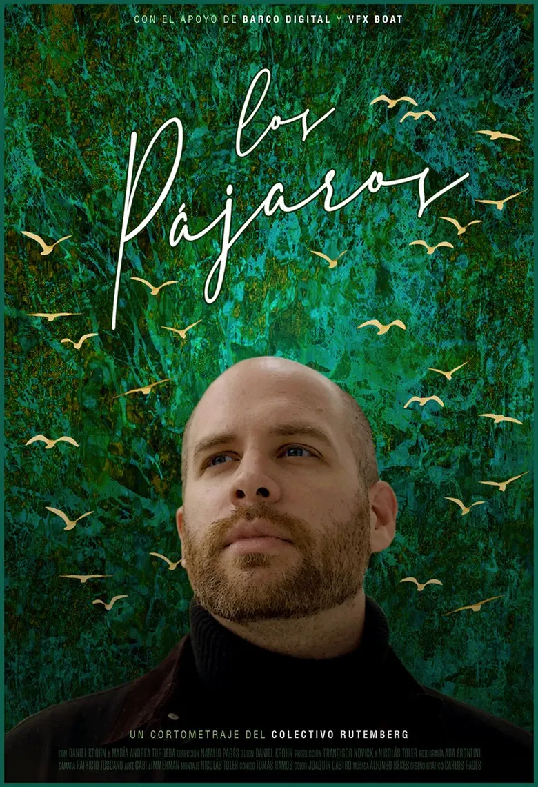 Los pájaros poster background