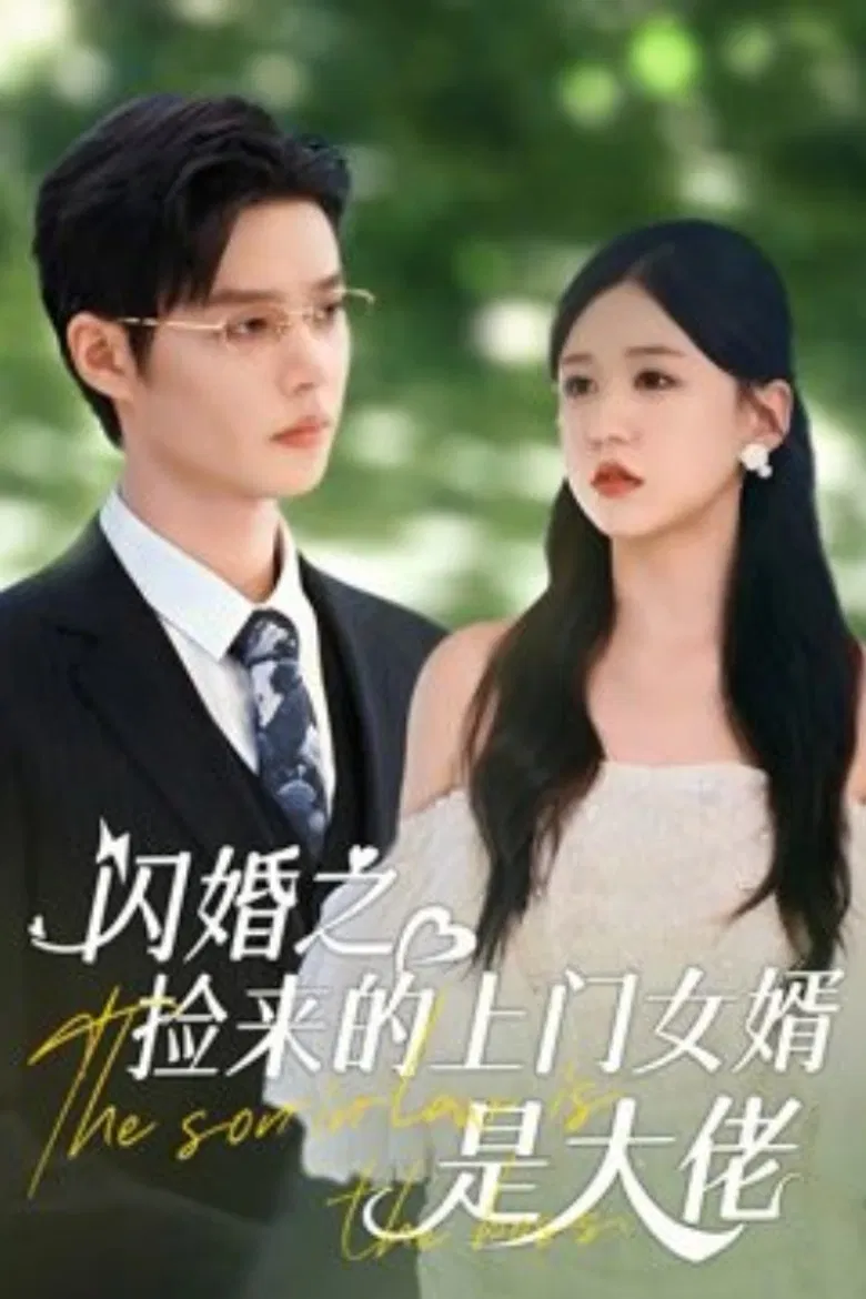 The Son-in-Law Is the Boss poster background