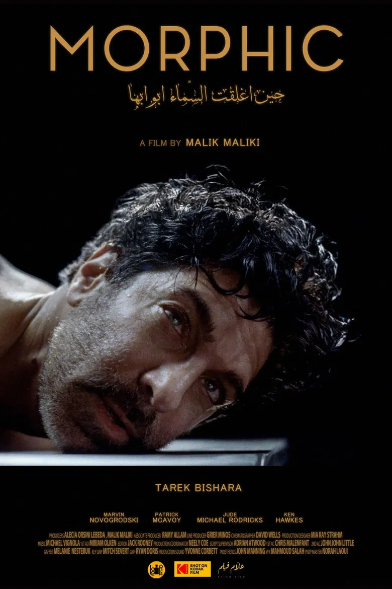 Morphic poster background