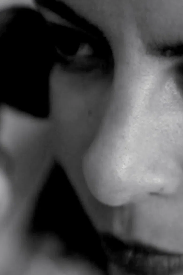 Pigeon poster background