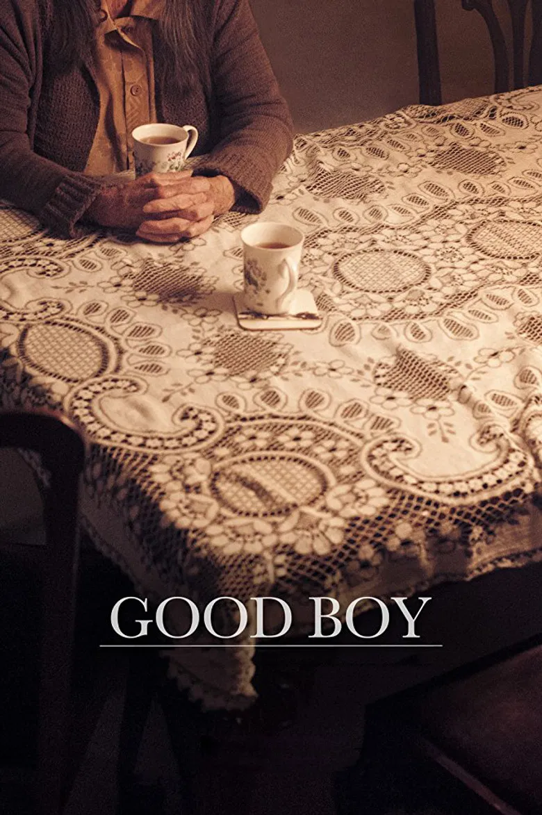 Good Boy poster background