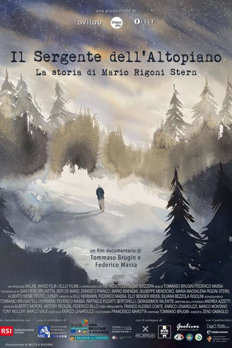 Il sergente dell'altopiano, la storia di Mario Rigoni Stern poster background