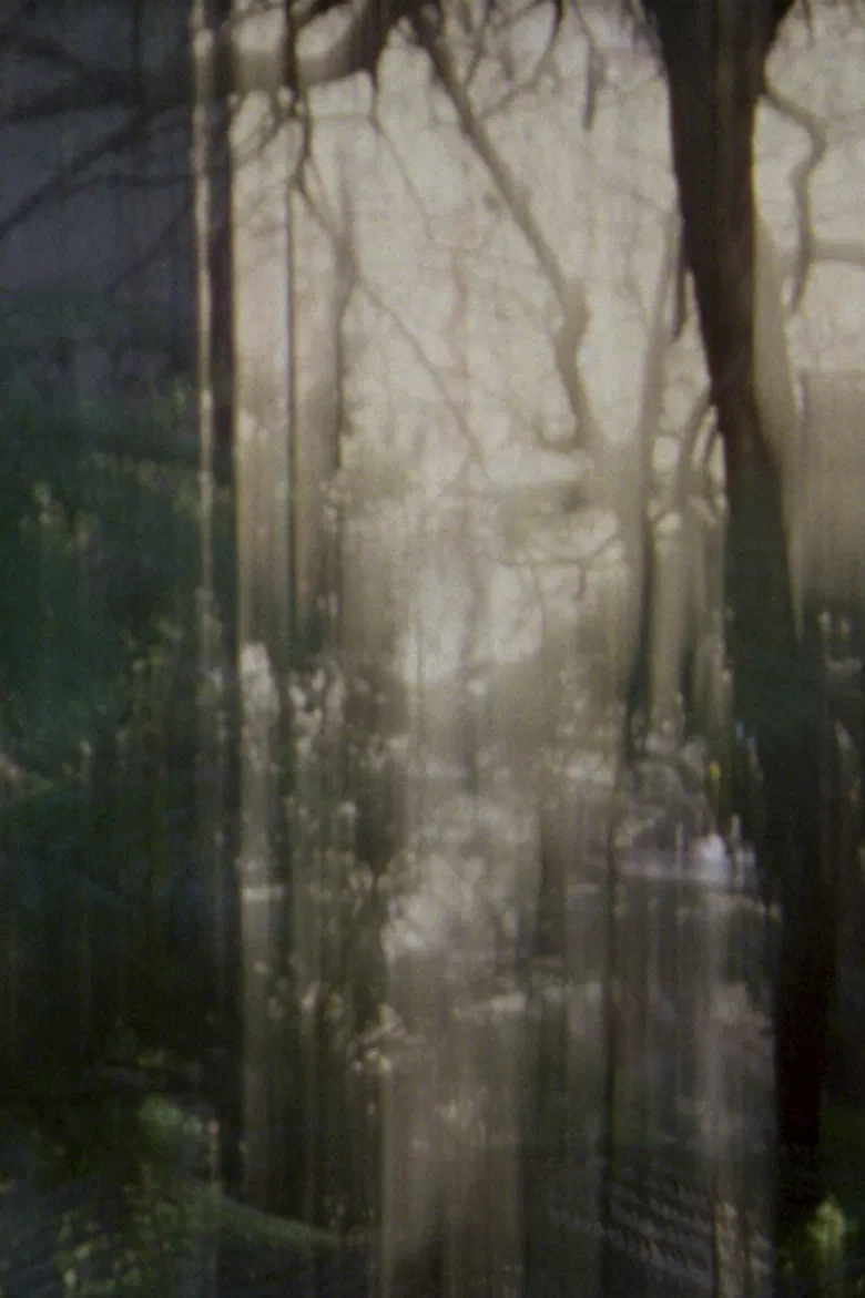 Die Urpflanze poster background