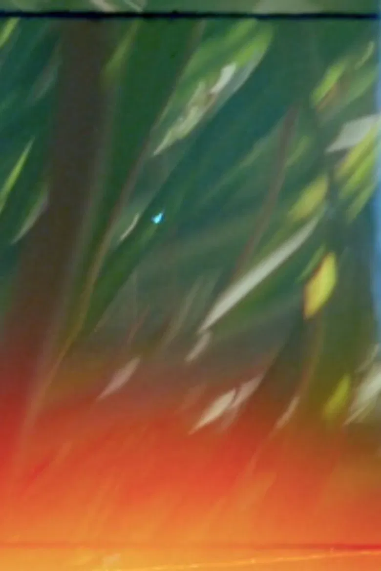 The Floating Gardens poster background