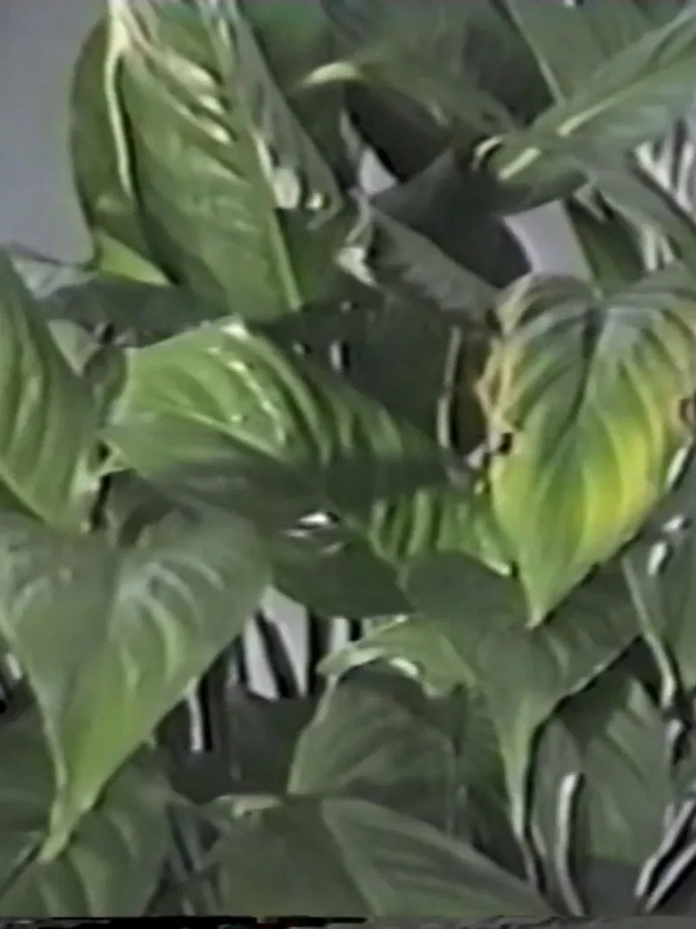 Table in September, or Part of an Incident poster background