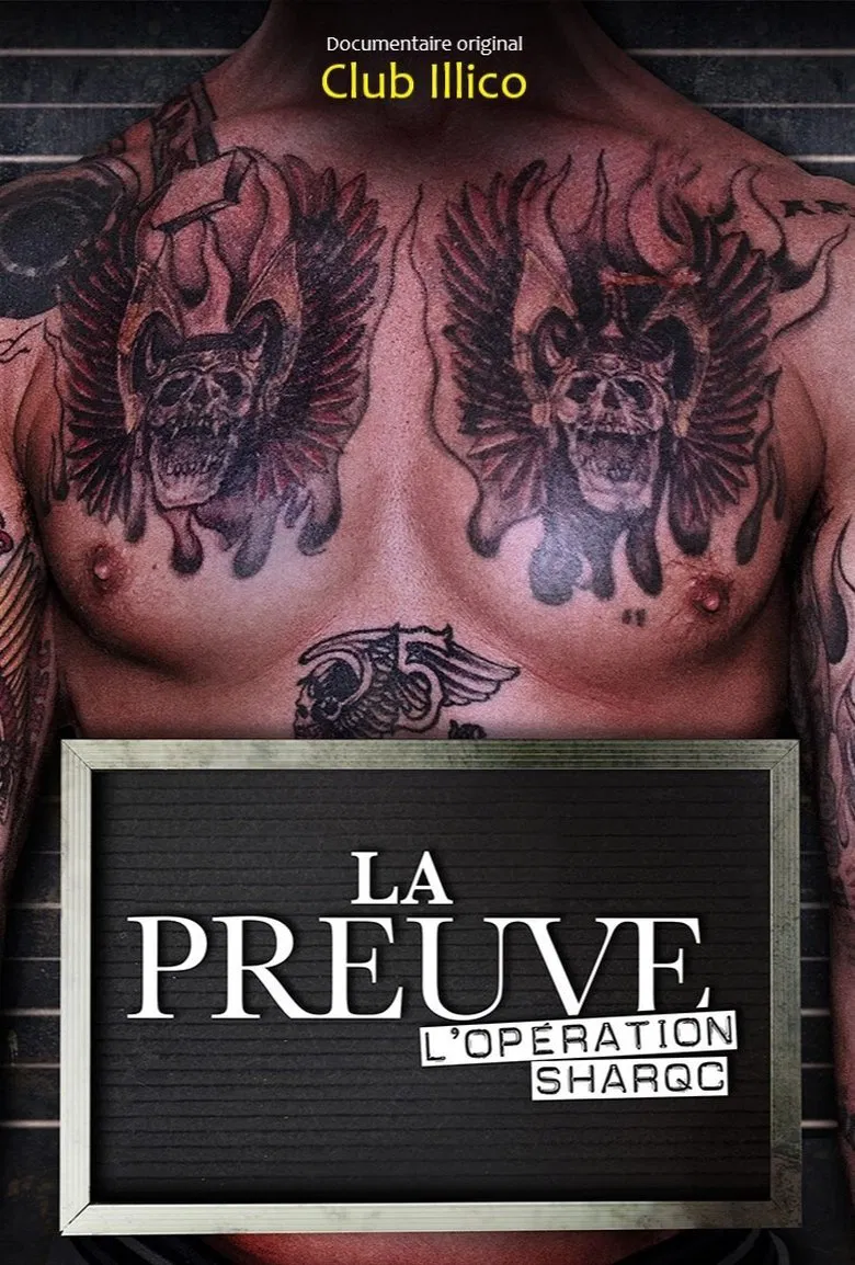 The Evidence poster background