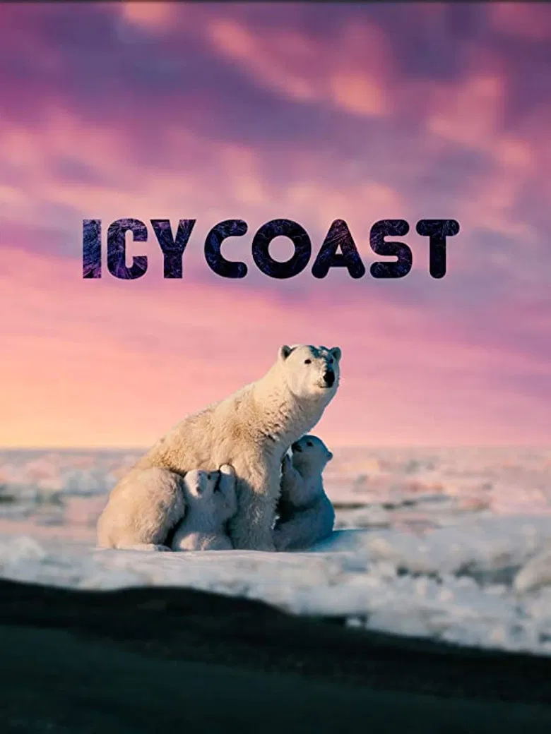 Icy Coasts poster background