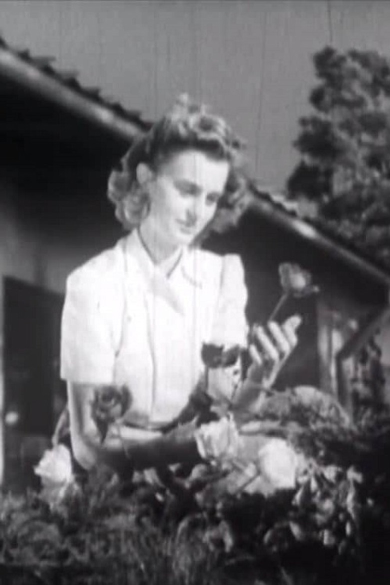 Stay a While! poster background