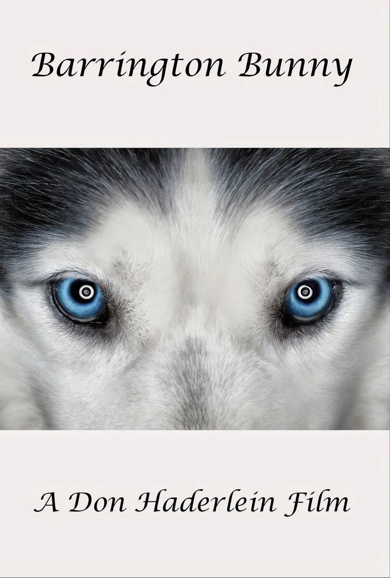 Barrington Bunny poster background