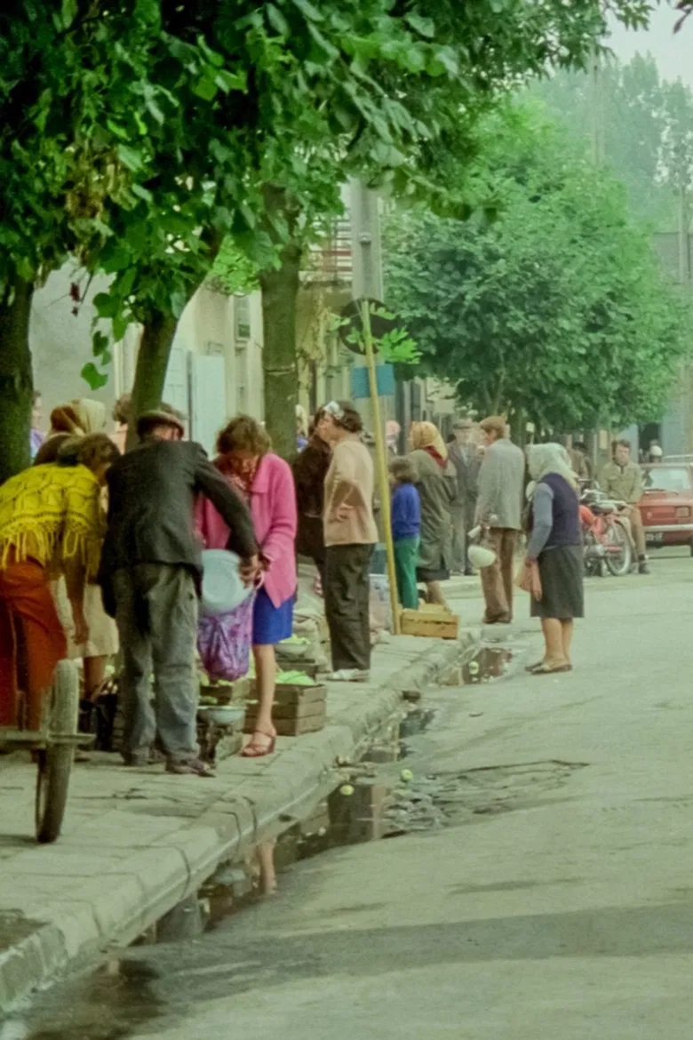 Fortune Favours Łęczna poster background