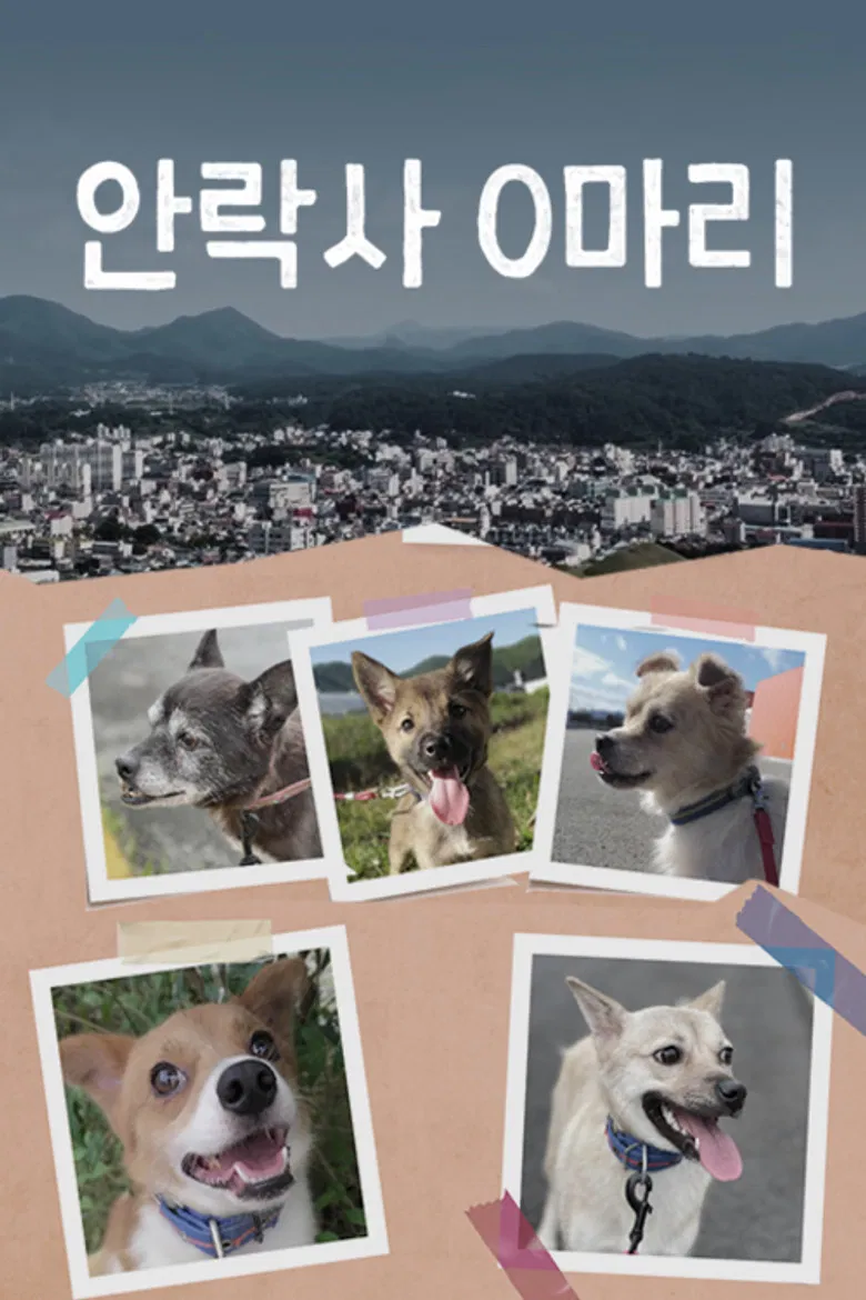 안락사 0마리 poster background