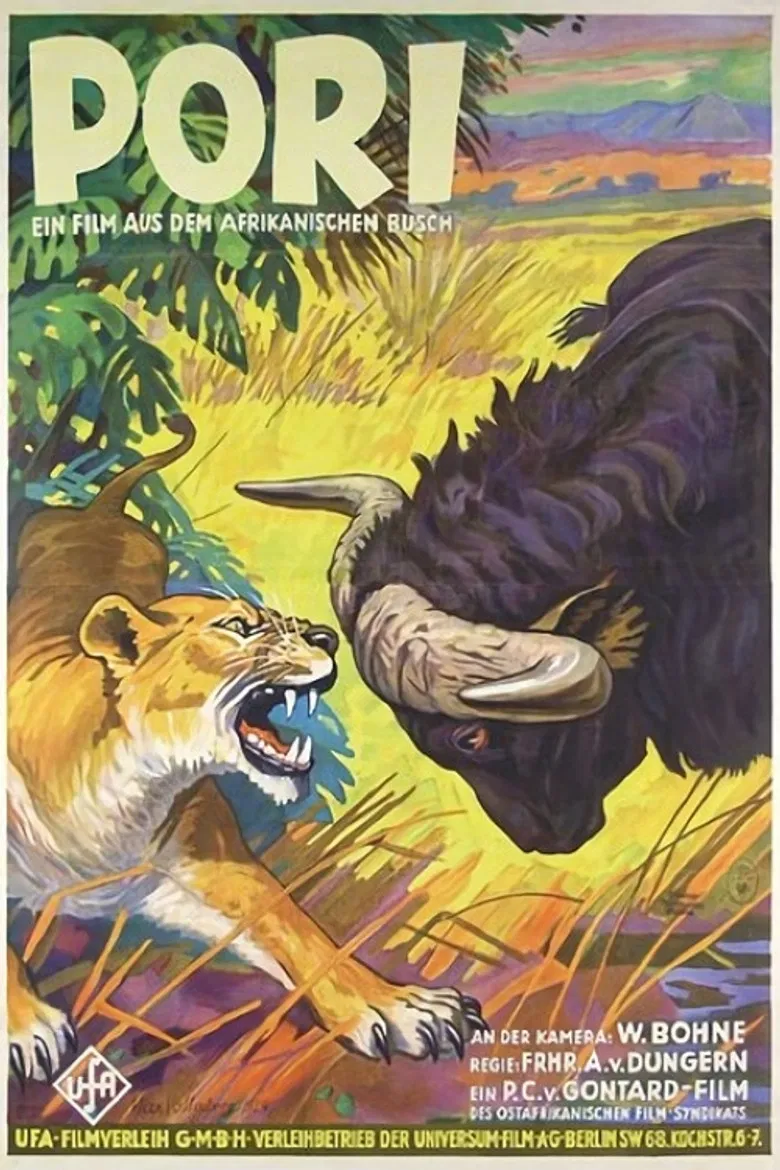 Pori poster background