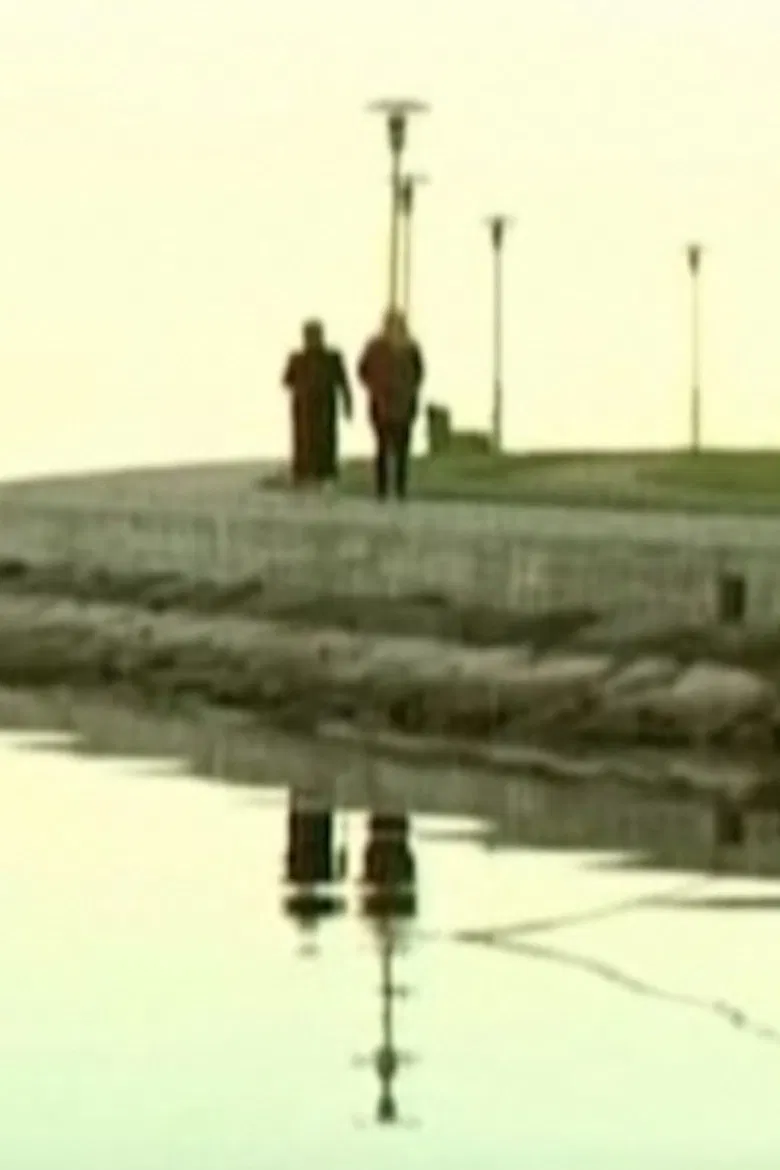 Widow’s Coast poster background