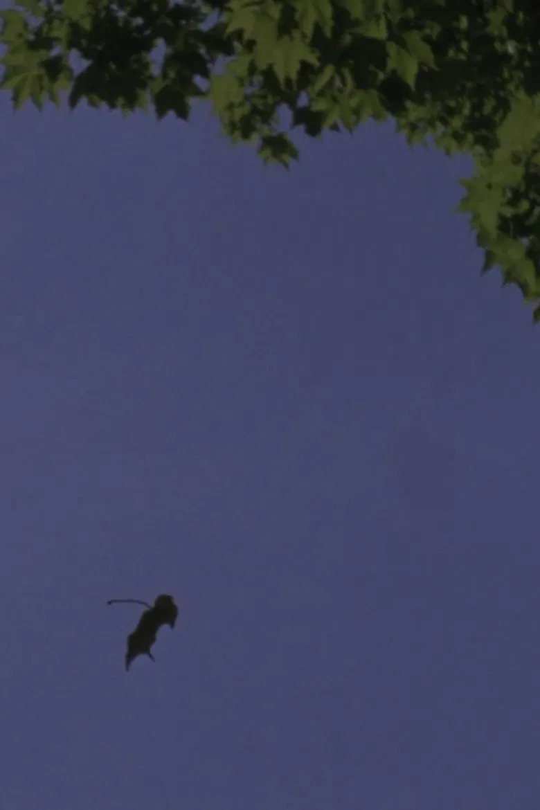 A Leaf Is the Sea Is a Theater poster background