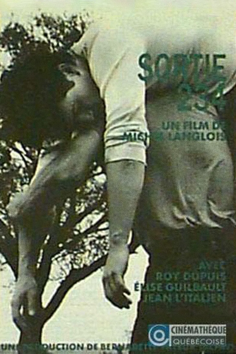 Sortie 234 poster background