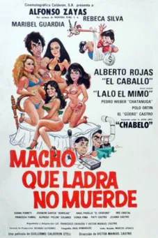 Macho que ladra no muerde poster background