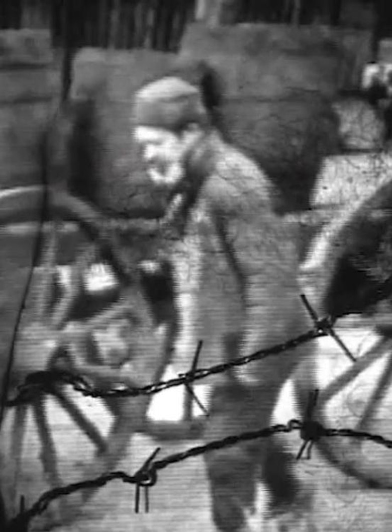 Camp poster background