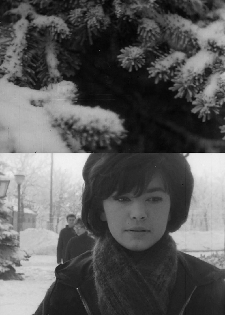 Terrasz mínusz tíz fok poster background