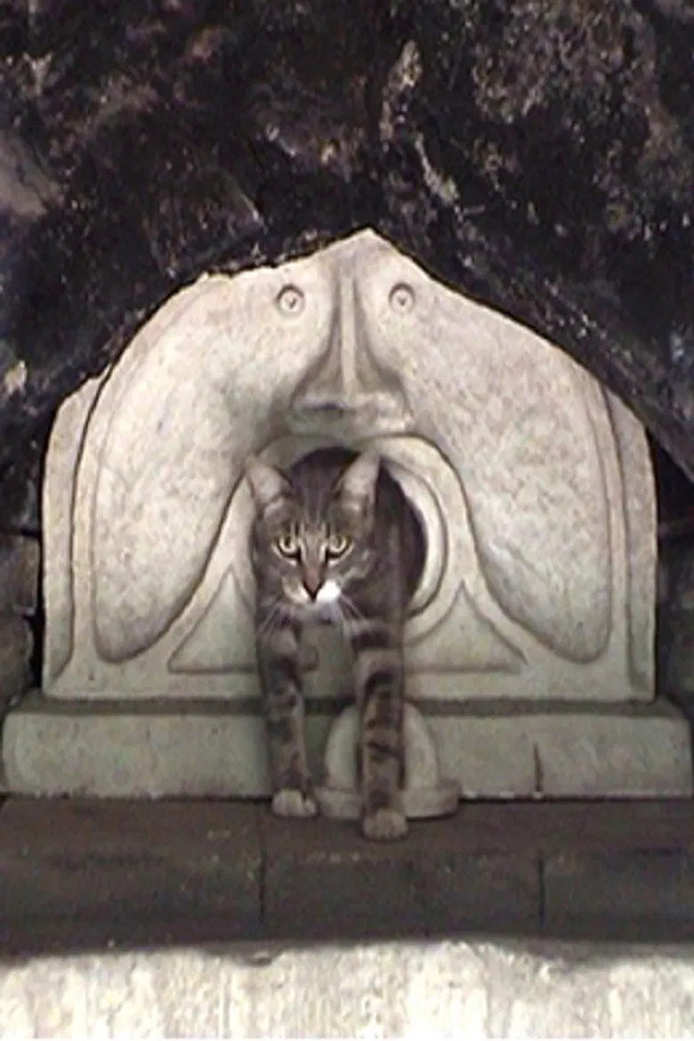 Father, Mother, What Should I Film Today? poster background