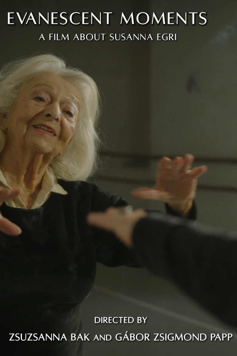 Evanescent Moments poster background