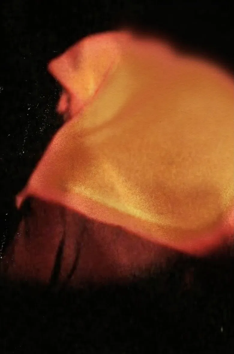 Twenty Three poster background