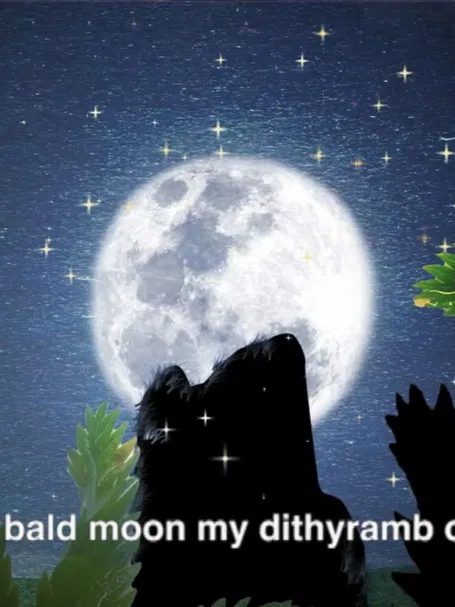 Dog poster background