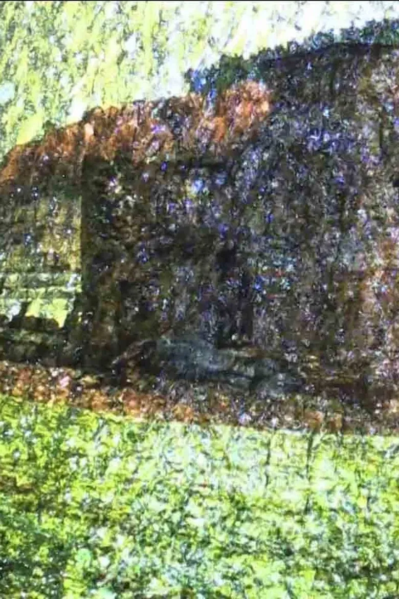 Pons minea poster background