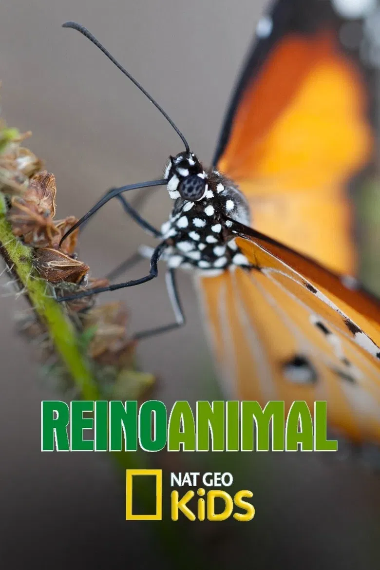 Reino Animal poster background