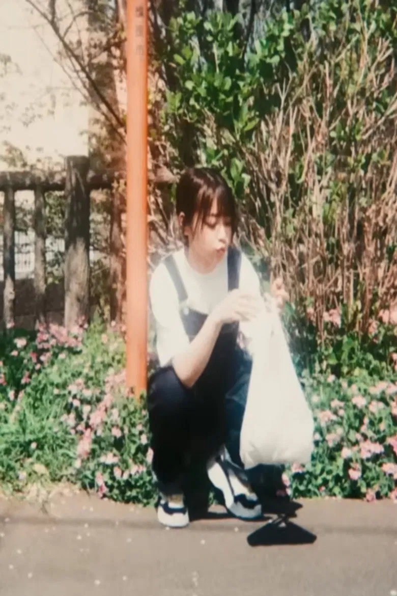 hydrangea poster background