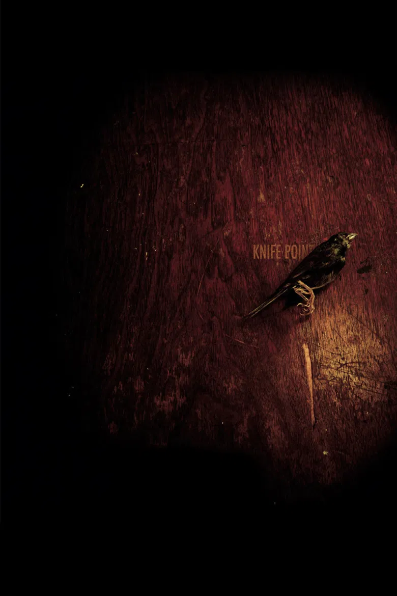 Knife Point poster background