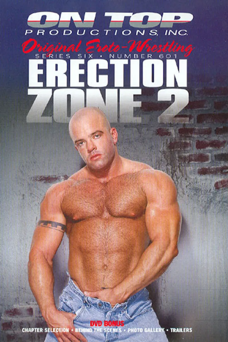 Erection Zone 2 poster background