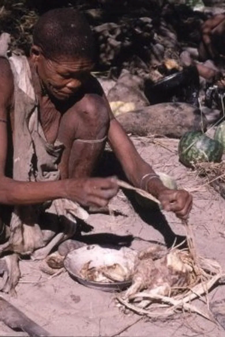 Bitter Melons poster background