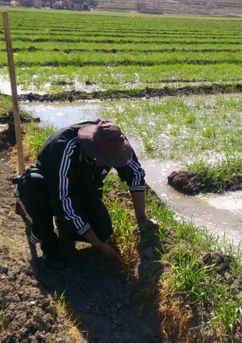 Surviving Fortress poster background