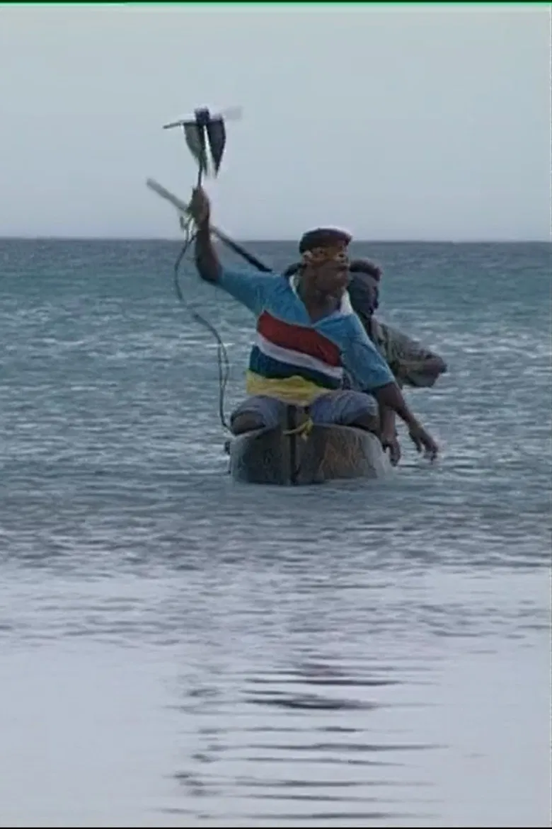 Tuo Dolphins poster background