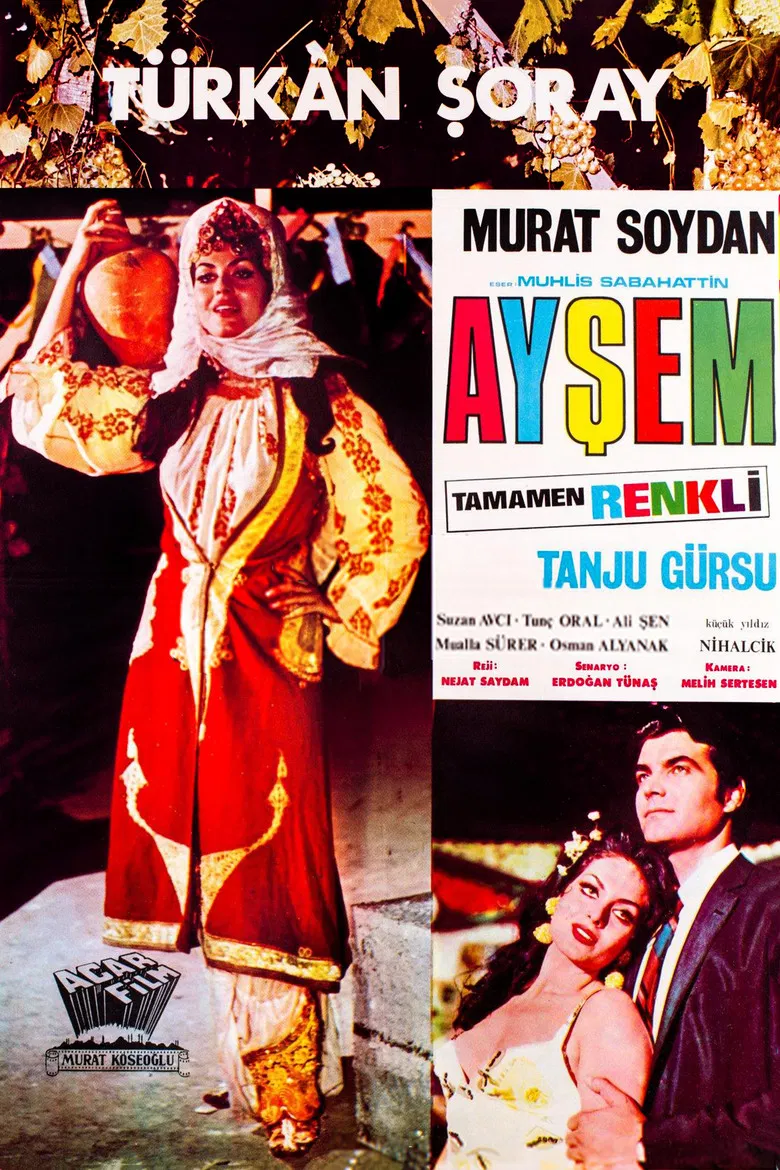 Ayşem poster background