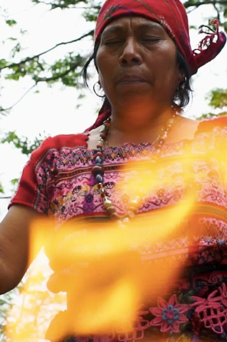 Fuego Sagrado poster background