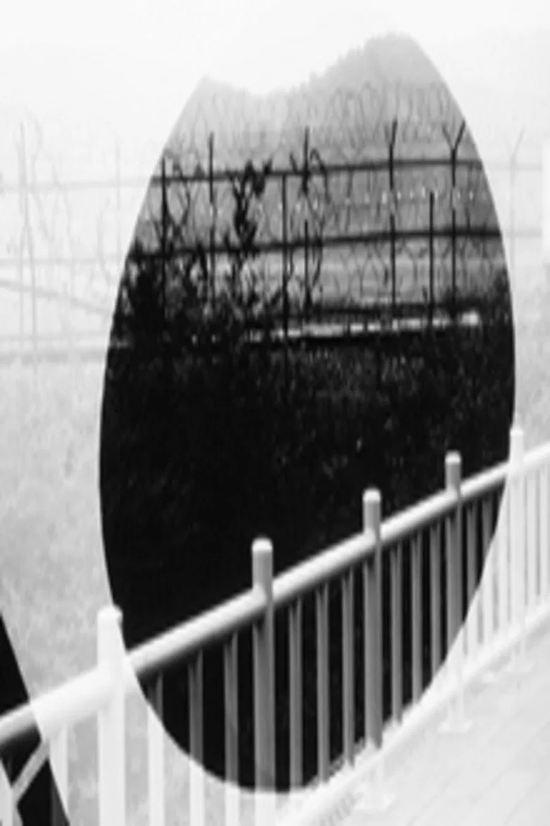 War Zone poster background