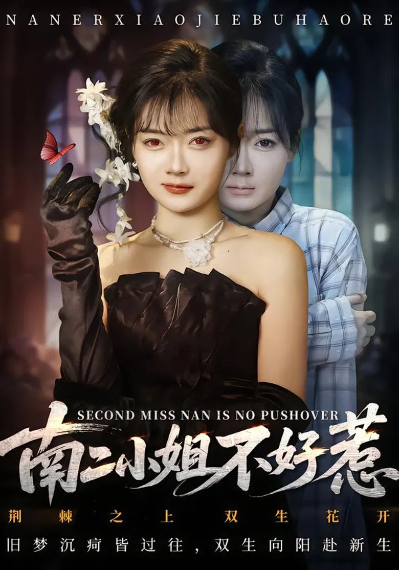南二小姐不好惹 poster background