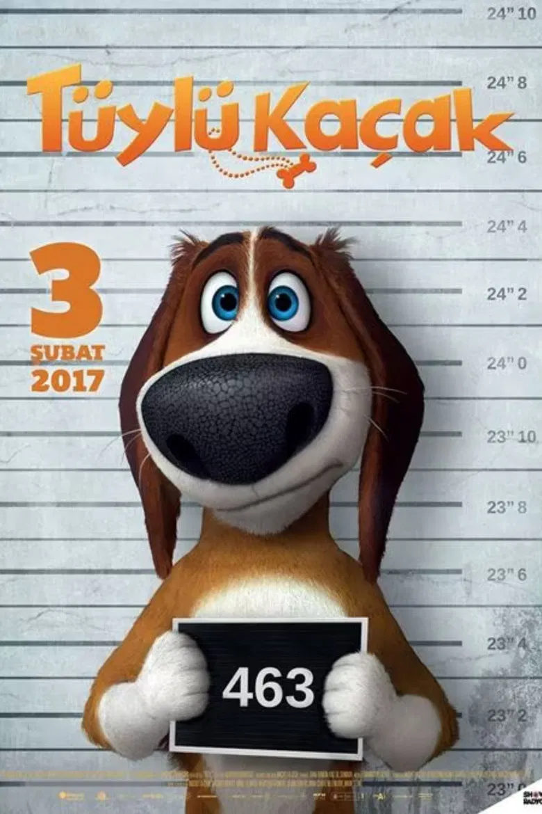 Run Ozzy Run poster background