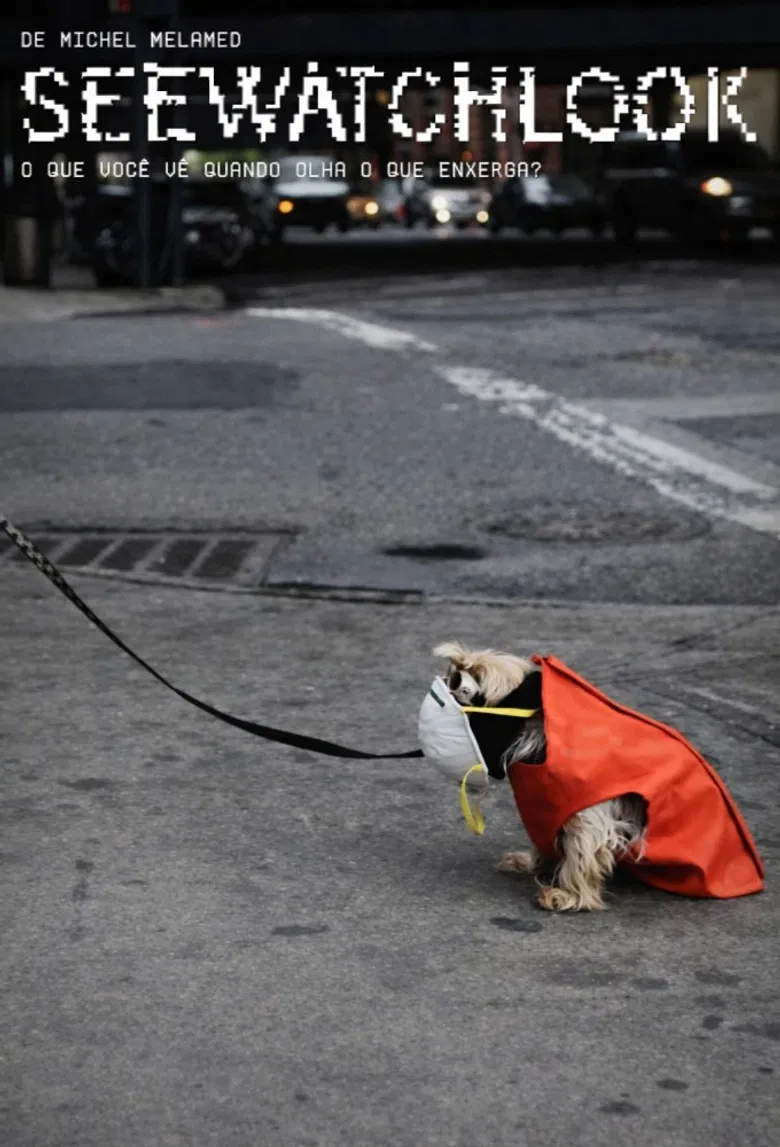 Seewatchlook – What Do You See When You Look at What You Watch? poster background