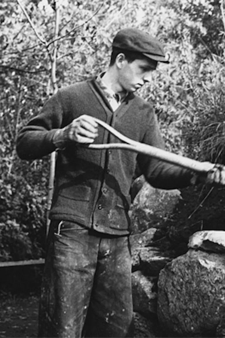 New Home in the West poster background