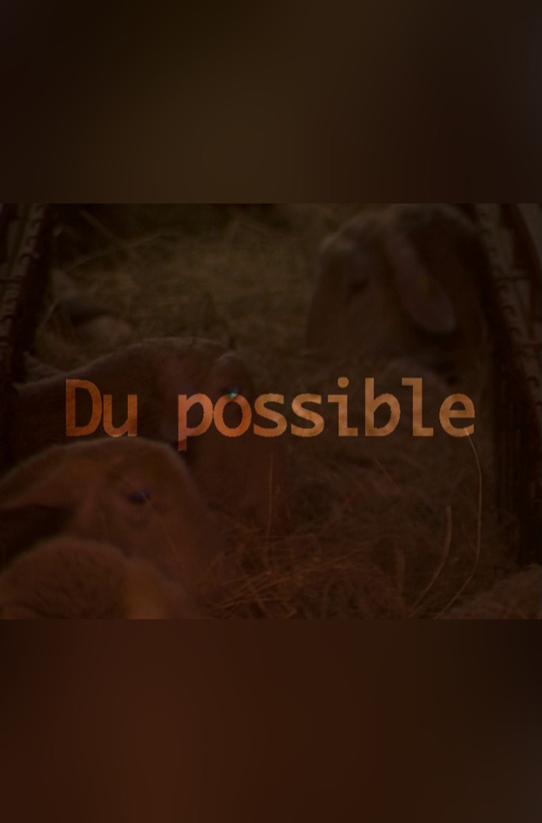Du possible poster background