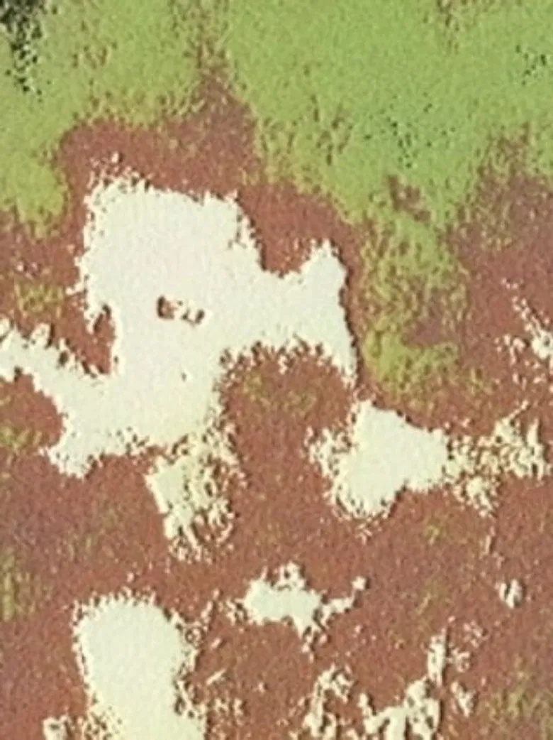 Quinkana poster background