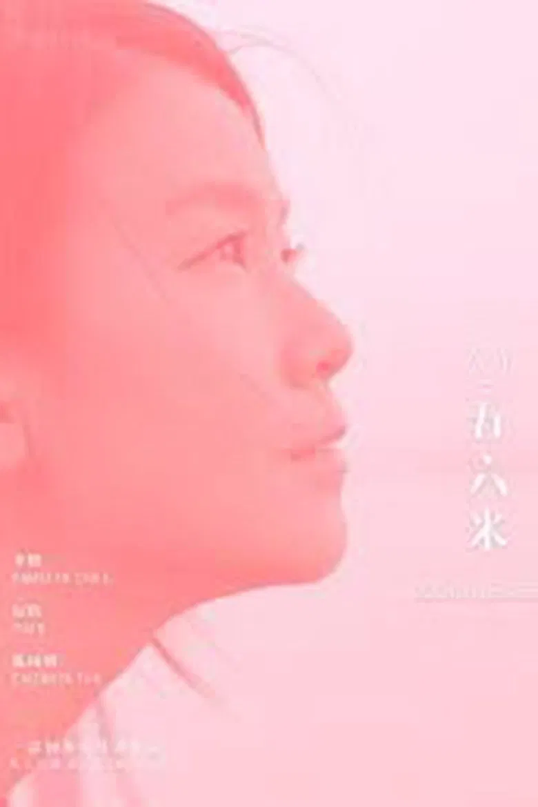 1056 Metres poster background