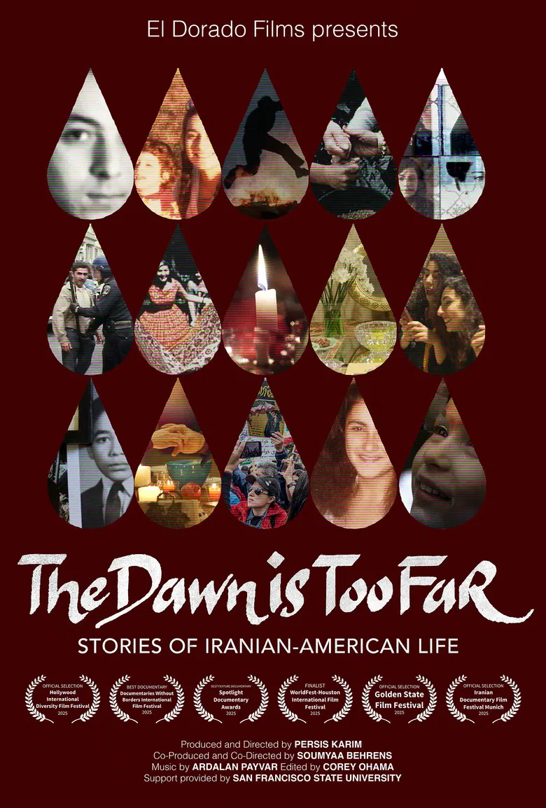 The Dawn is Too Far: Stories of Iranian-American Life poster background