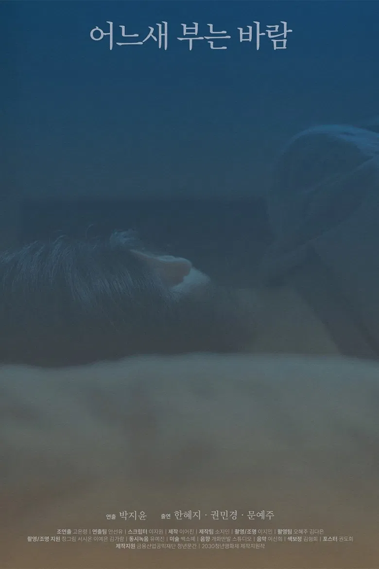 The Consolation of the Wind poster background