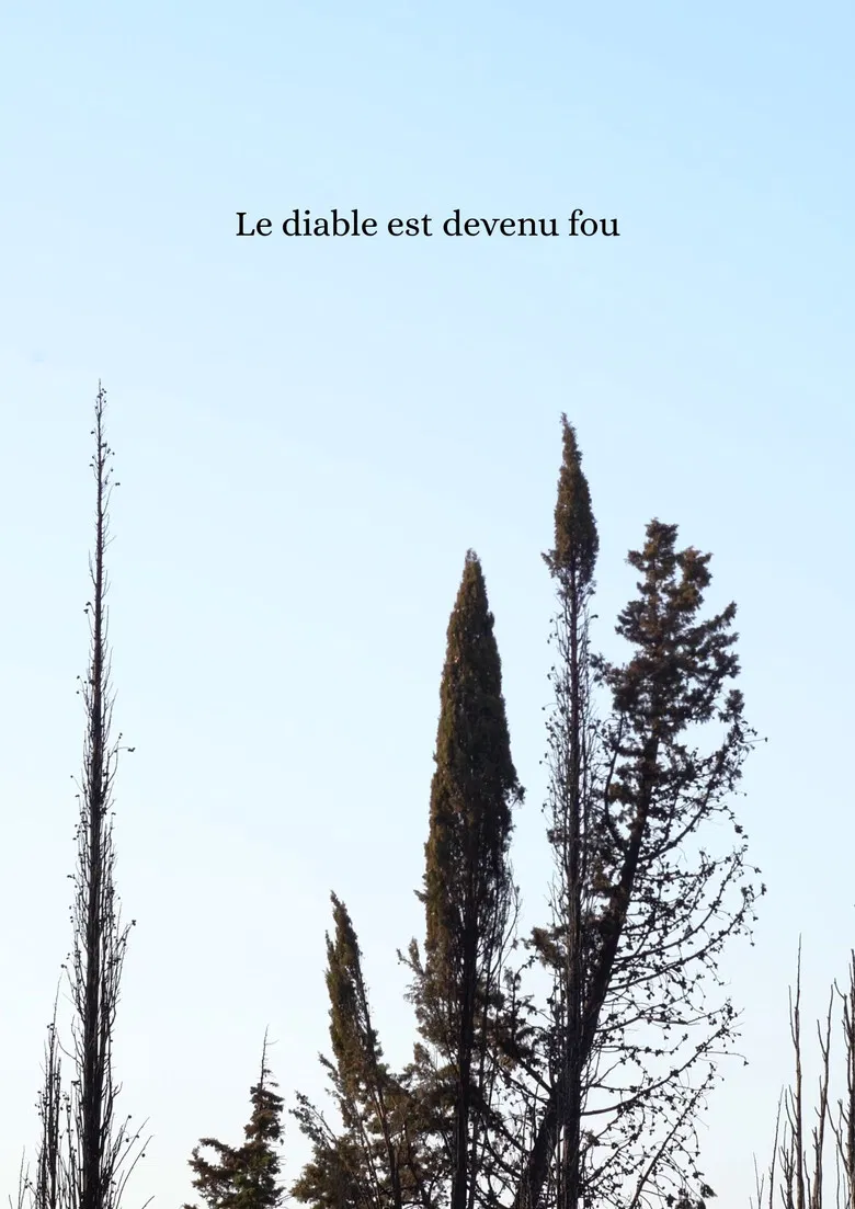 Le diable est devenu fou poster background